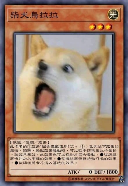 柴犬烏拉拉