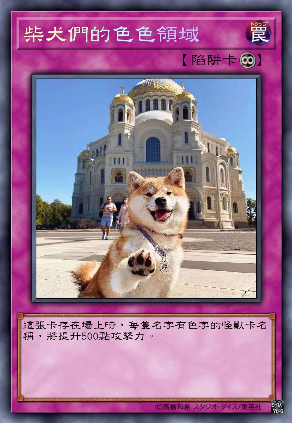 柴犬們的色色領域