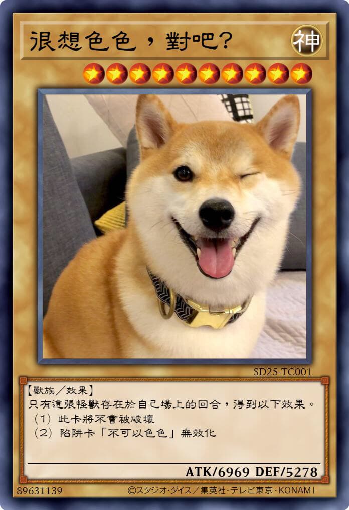 很想色色，對吧？