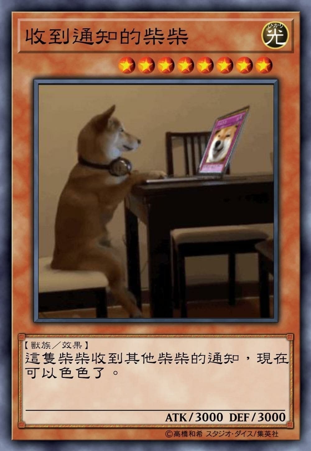 收到通知的柴柴