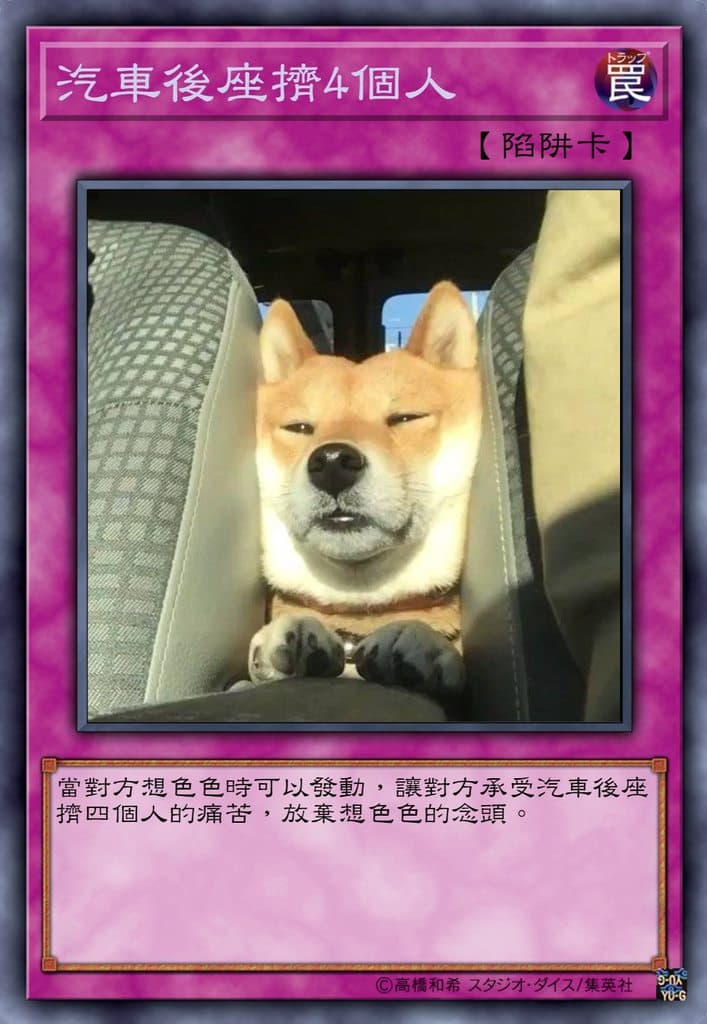 汽車後座擠4個人