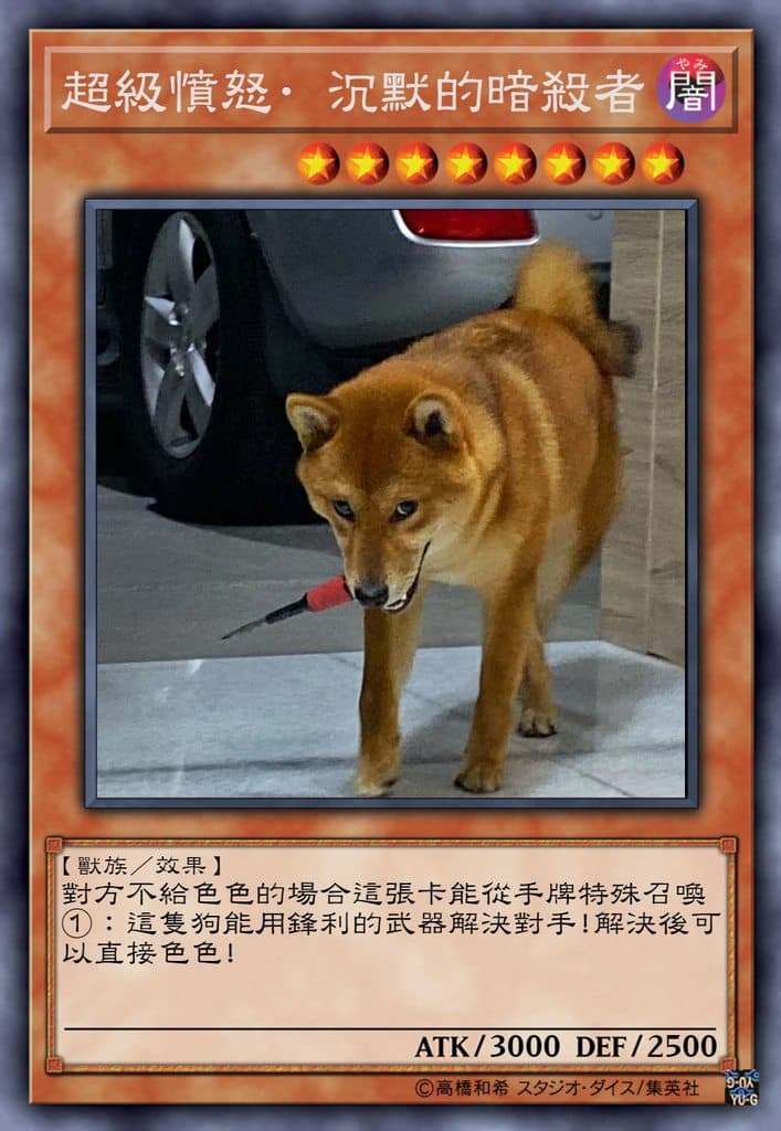 超級憤怒‧沉默的暗殺者