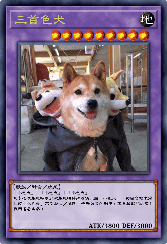 三首色犬