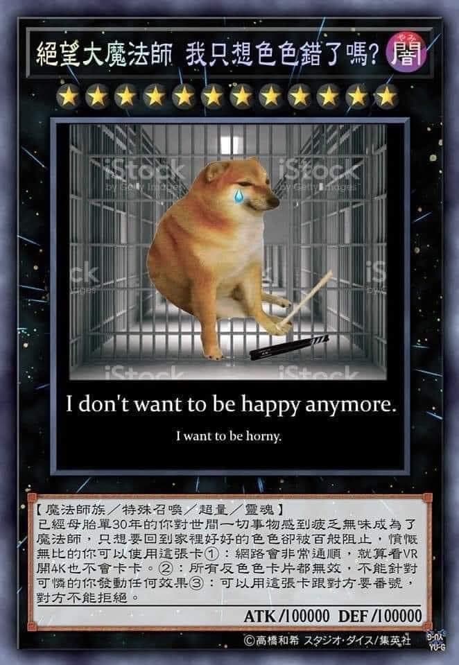 絕望大魔法師 我只想色色錯了嗎?