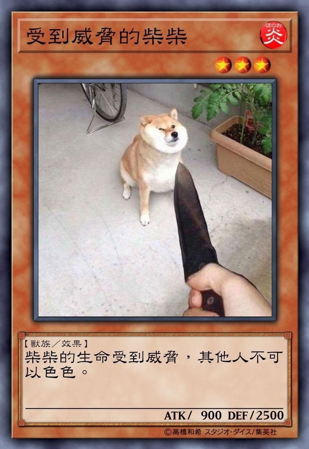 受到威脅的柴柴