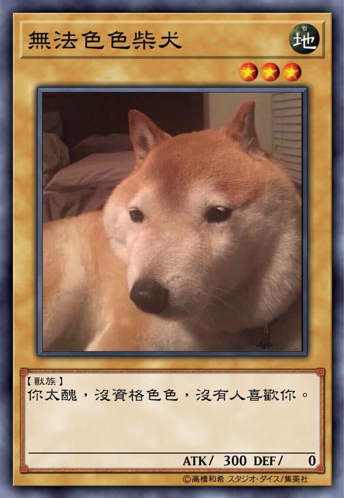 無法色色柴犬