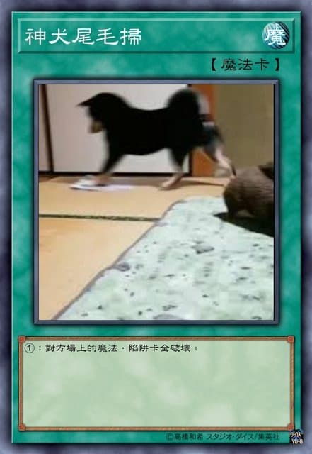 神犬尾毛掃