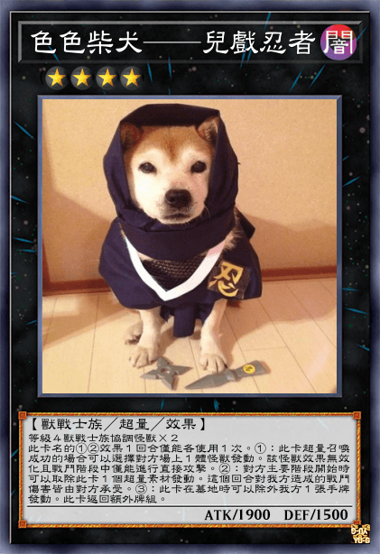 色色柴犬——兒戲忍者