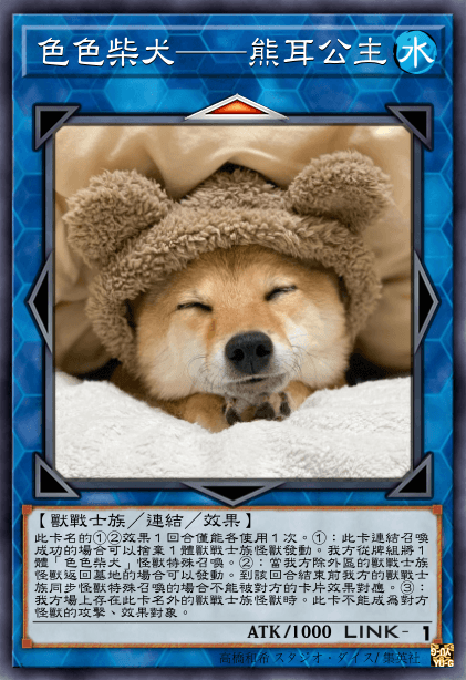 色色柴犬——熊耳公主