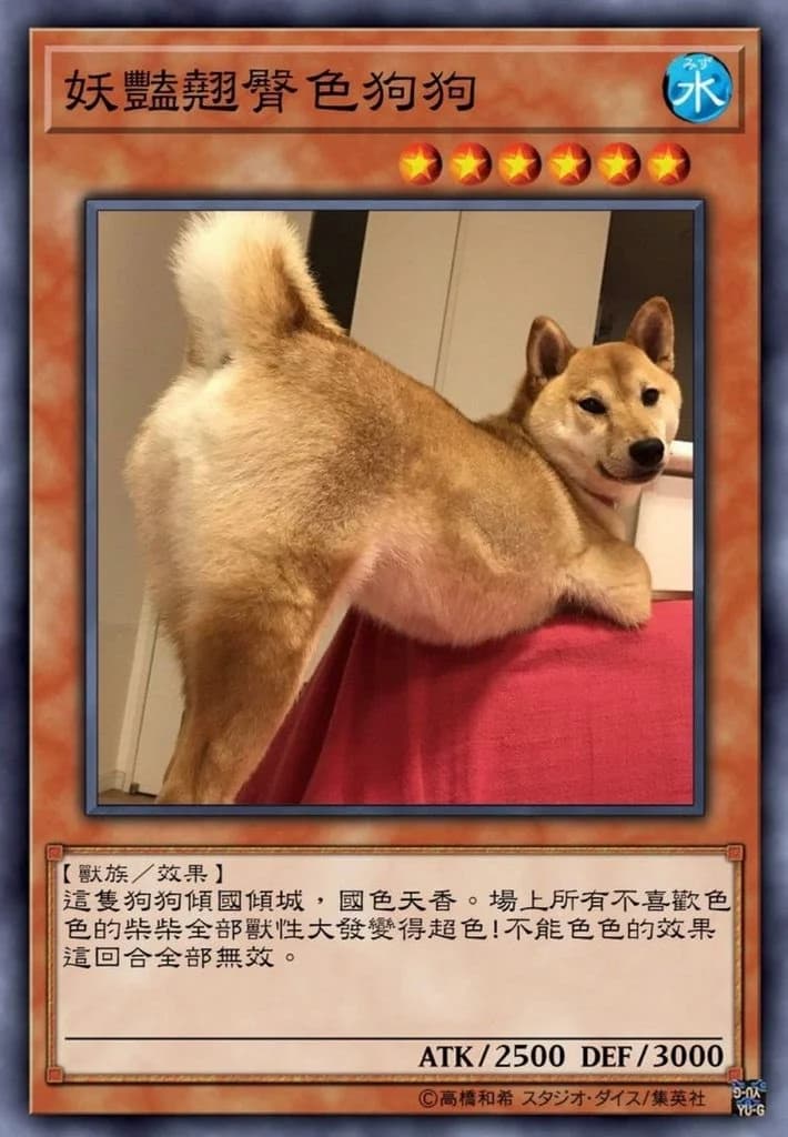 妖艷翹臀色狗狗