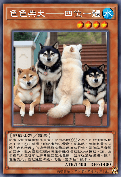 色色柴犬——四位一體