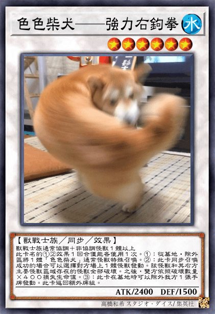 色色柴犬——強力右勾拳