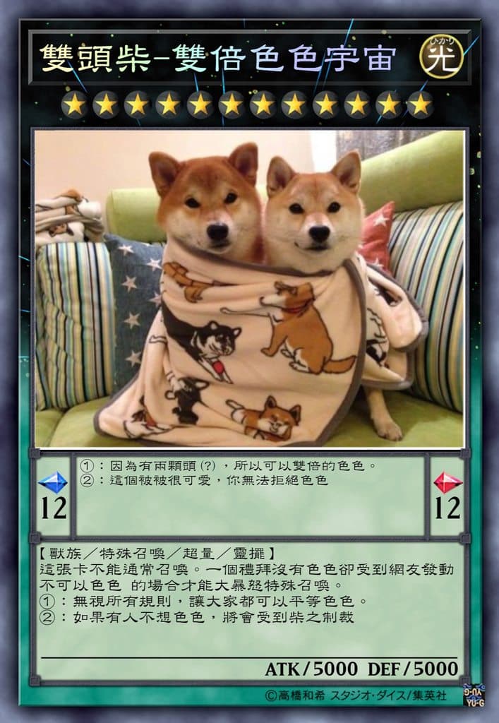 雙頭柴-雙倍色色宇宙